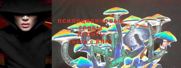 ешки Абаза