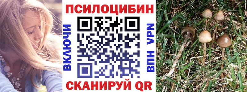 Псилоцибиновые грибы мицелий Электроугли